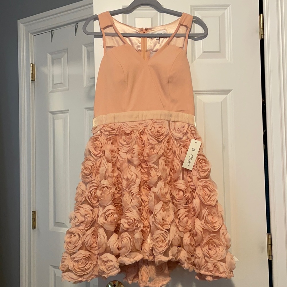 Blush Formal Dress (with tags)
